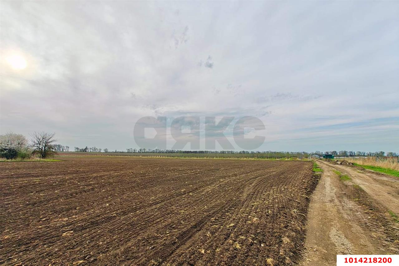Фото №7: Коммерческая земля 196&nbsp;сот. - Старокорсунская, мкр. Карасунский внутригородской округ, ул. Придорожная, 1А