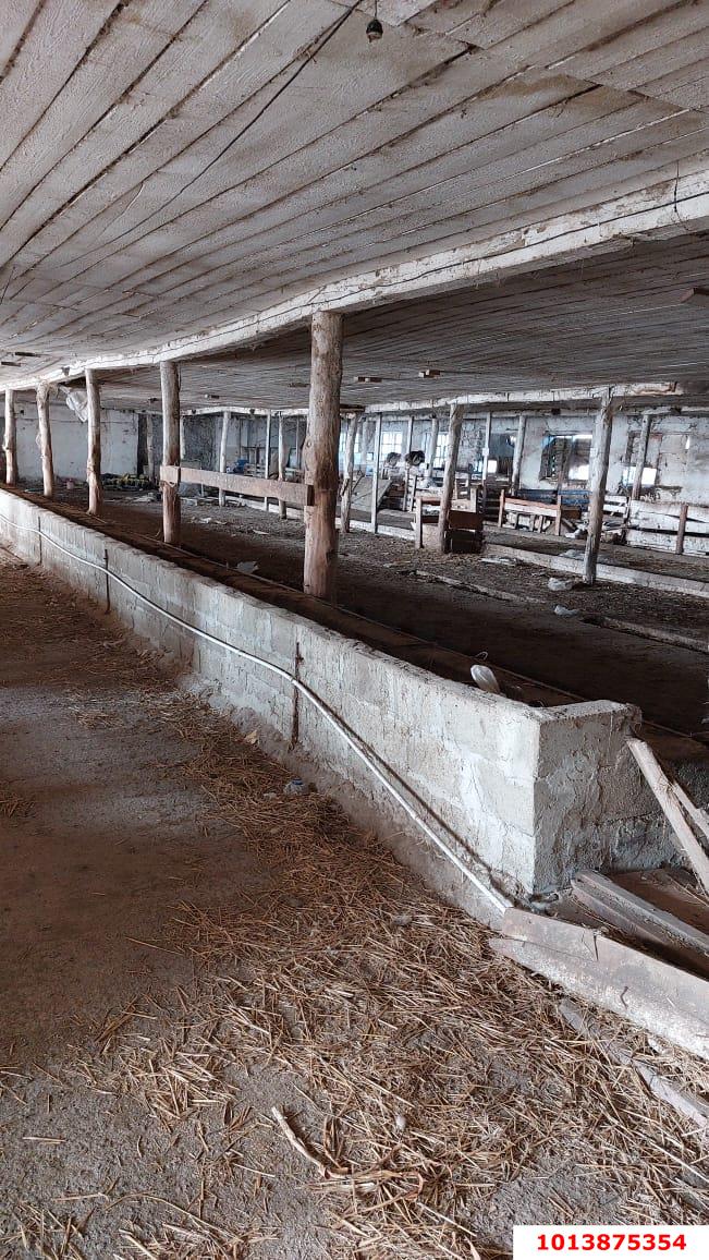 Фото №3: Отдельное здание 1560&nbsp;м², 1/1&nbsp;эт. - Краснодарский край Северский район
