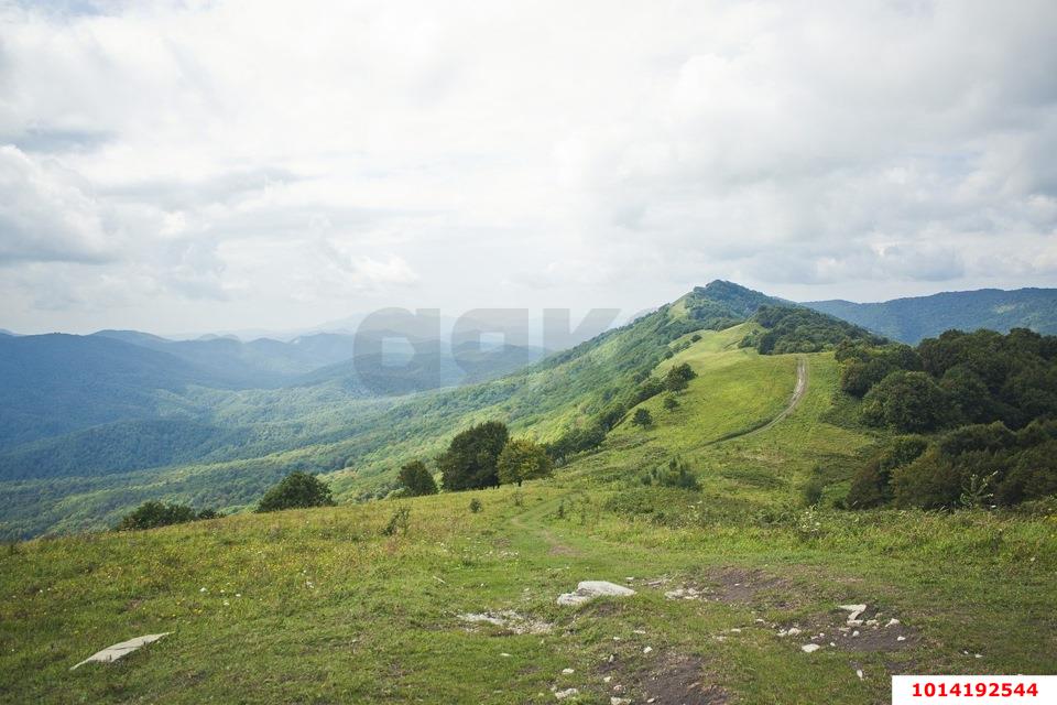 Фото №1: Земельный участок под ИЖС 241&nbsp;сот. - Хребтовое, ул. Изумрудная, 17
