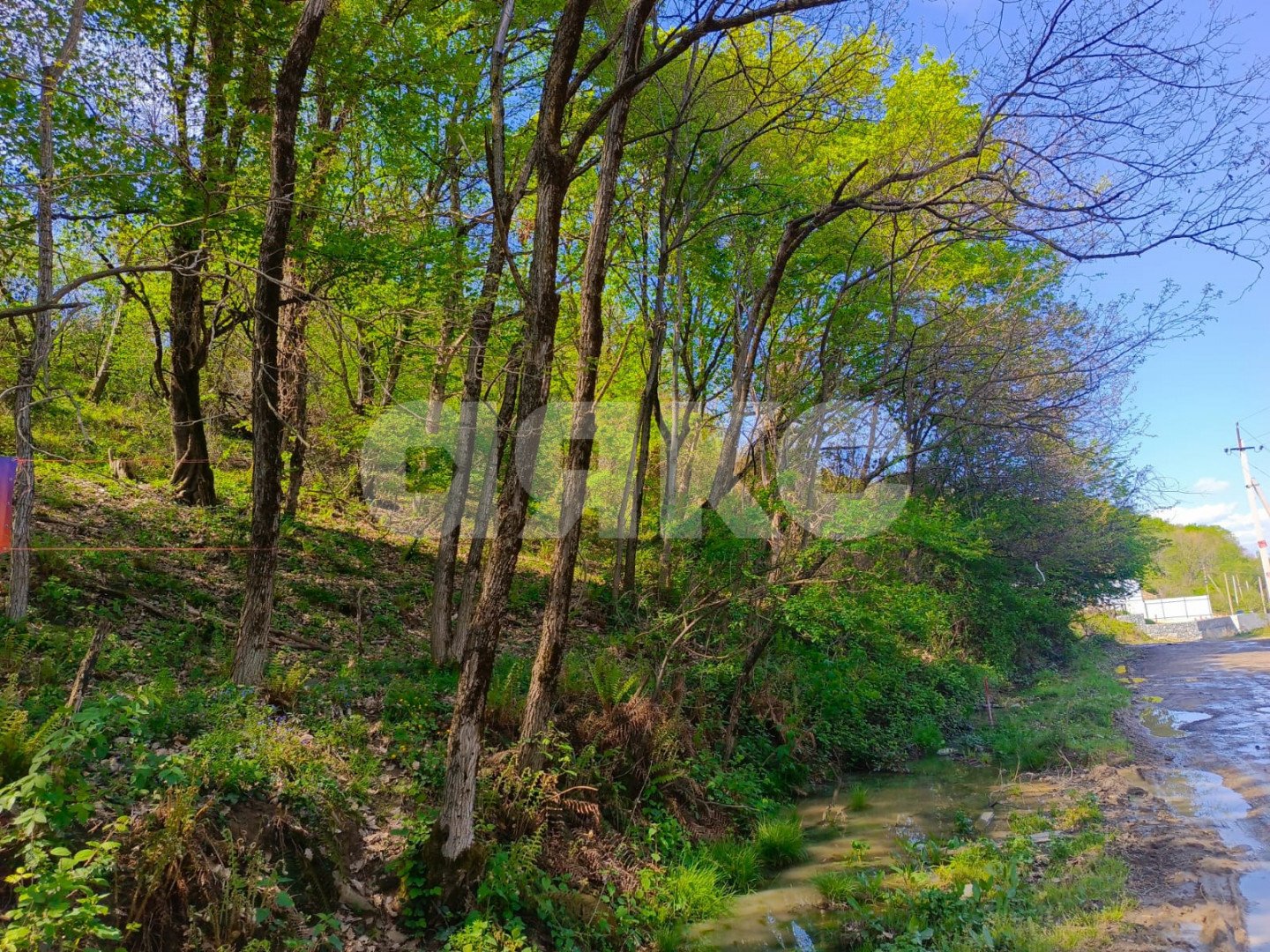 Фото №5: Личное подсобное хозяйство 6.7&nbsp;сот. - Орёл-Изумруд, р. Адлерский, ул. 10 лет Октября