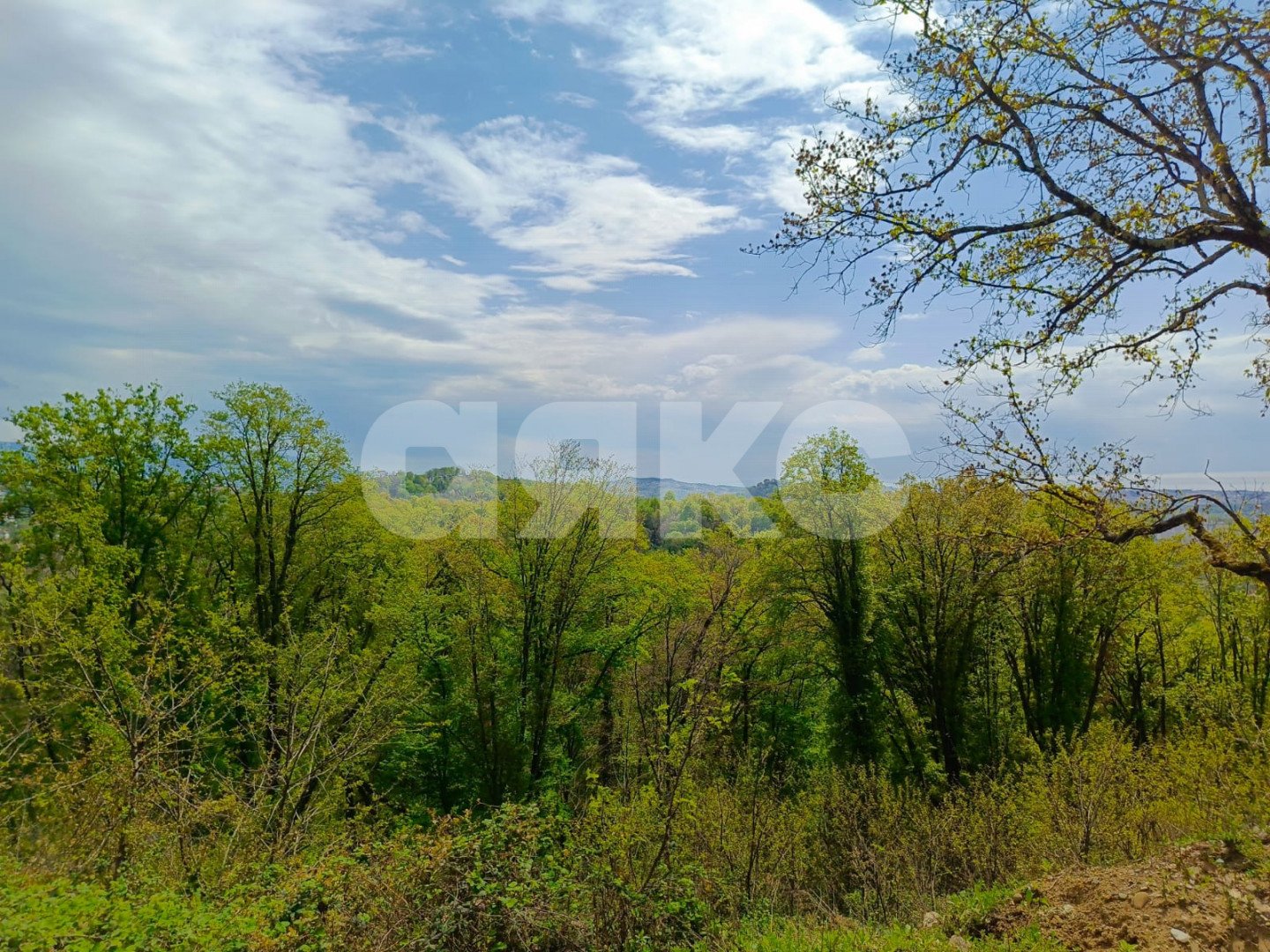 Фото №6: Личное подсобное хозяйство 9.5&nbsp;сот. - Орёл-Изумруд, р. Адлерский, ул. 10 лет Октября