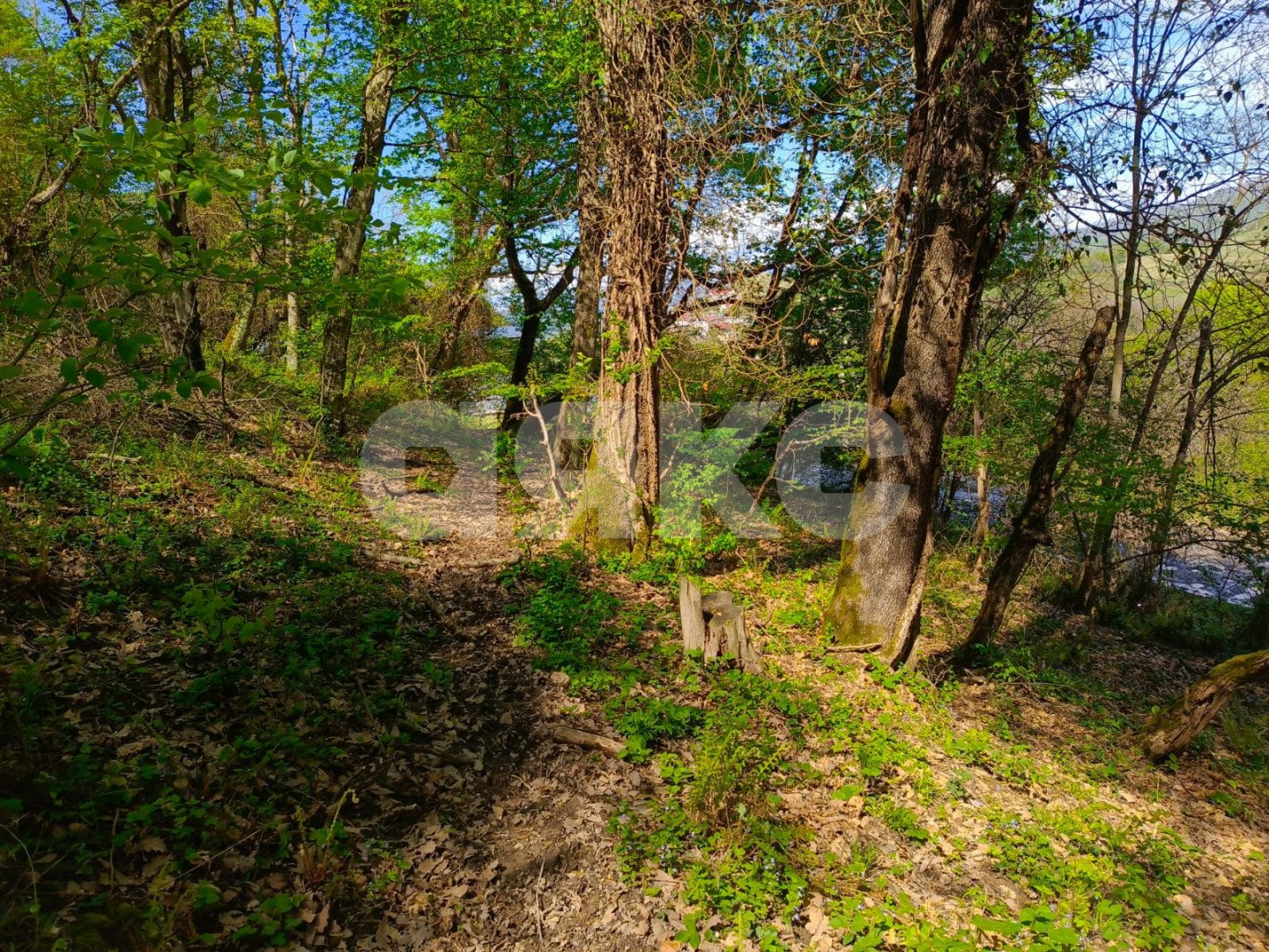 Фото №2: Личное подсобное хозяйство 8.7&nbsp;сот. - Орёл-Изумруд, р. Адлерский, ул. 10 лет Октября