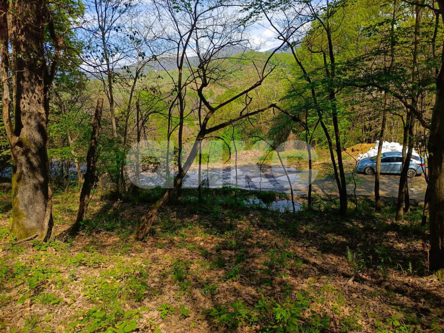 Фото №4: Личное подсобное хозяйство 8.7&nbsp;сот. - Орёл-Изумруд, р. Адлерский, ул. 10 лет Октября