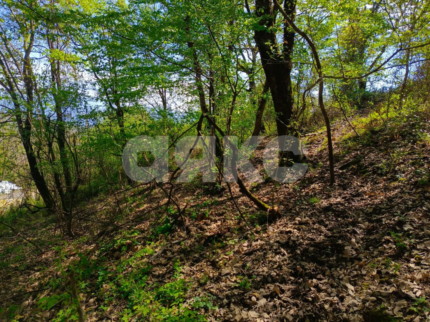 Фото №8: Личное подсобное хозяйство 8.7&nbsp;сот. - Орёл-Изумруд, р. Адлерский, ул. 10 лет Октября