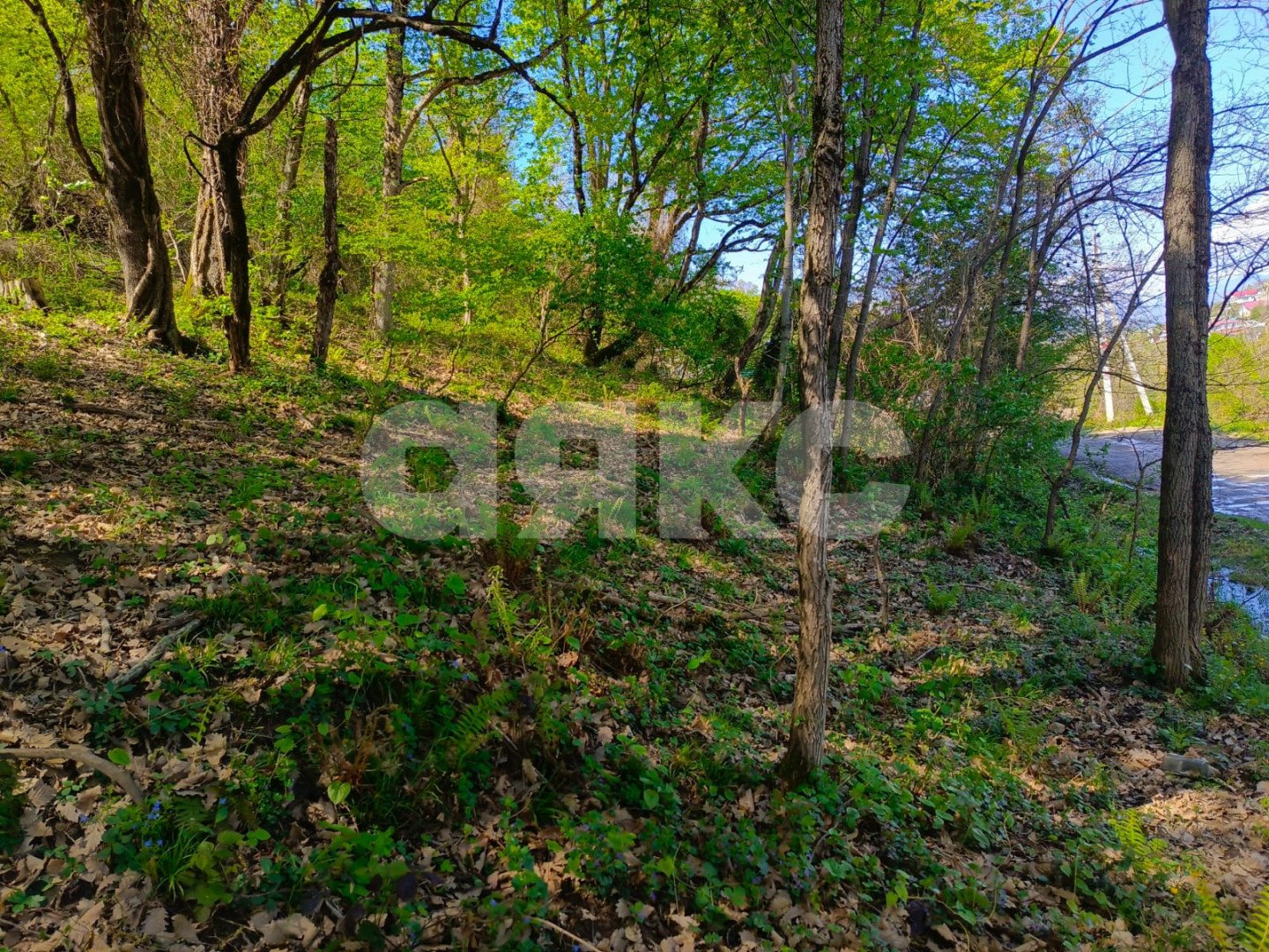 Фото №6: Личное подсобное хозяйство 8.7&nbsp;сот. - Орёл-Изумруд, р. Адлерский, ул. 10 лет Октября