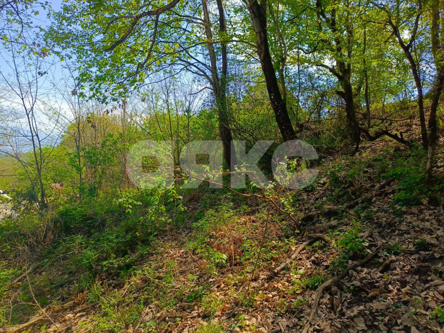 Фото №10: Личное подсобное хозяйство 8.7&nbsp;сот. - Орёл-Изумруд, р. Адлерский, ул. 10 лет Октября