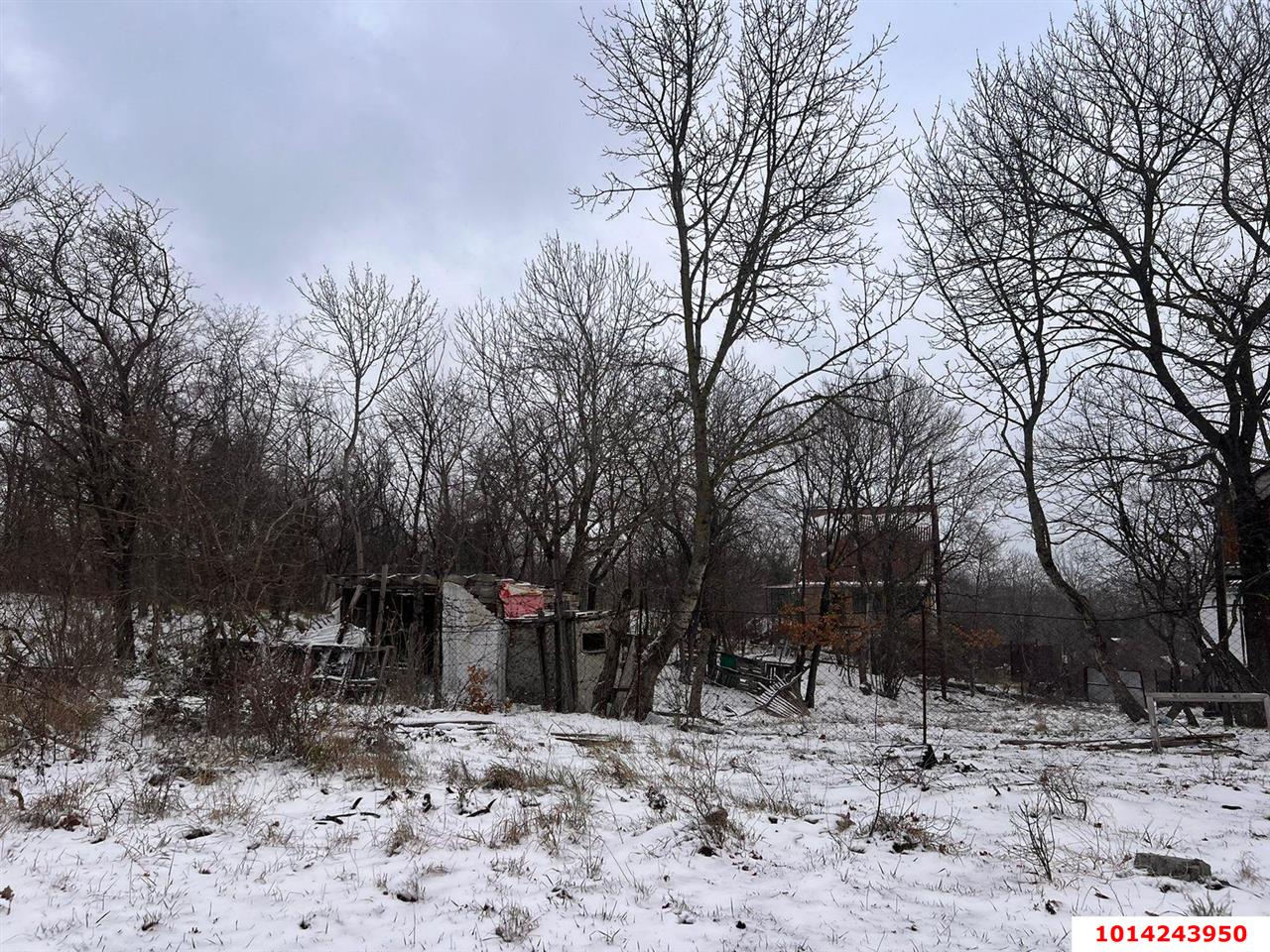 Фото №1: Личное подсобное хозяйство 5&nbsp;сот. - Новороссийск, Приморский, мкр. территория Цемдолина, ул. Золотая Рыбка, 14
