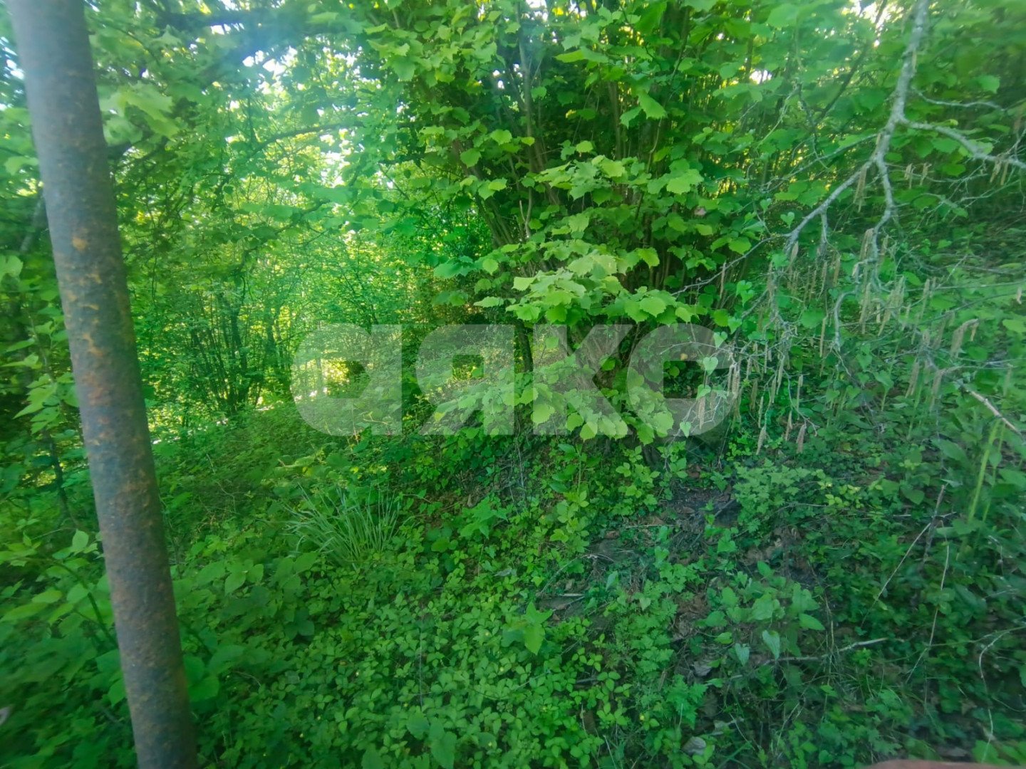 Фото №7: Дом 77&nbsp;м² + 6.97&nbsp;сот., 1&nbsp;эт. - Калиновое Озеро, р. Адлерский, ул. Котельная, 1