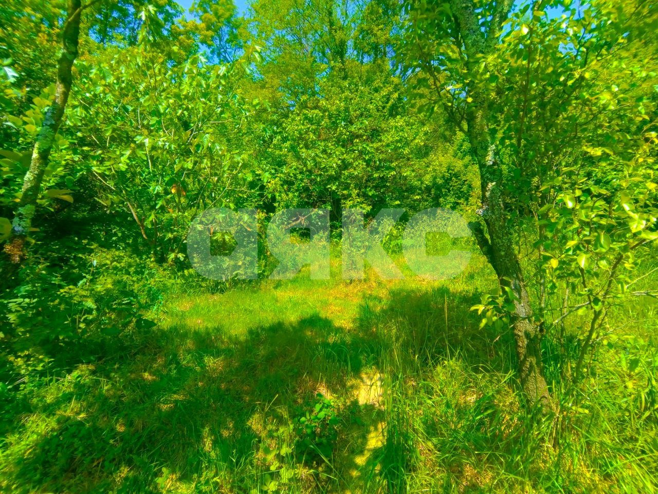Фото №11: Дом 59&nbsp;м² + 7&nbsp;сот., 2&nbsp;эт. - Сочи, Центральный, мкр. Донская, пер. Виноградный