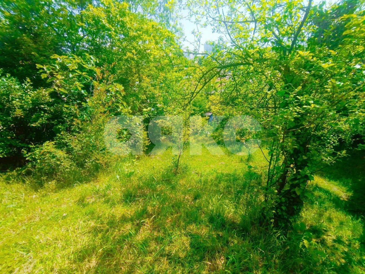Фото №12: Дом 59&nbsp;м² + 7&nbsp;сот., 2&nbsp;эт. - Сочи, Центральный, мкр. Донская, пер. Виноградный