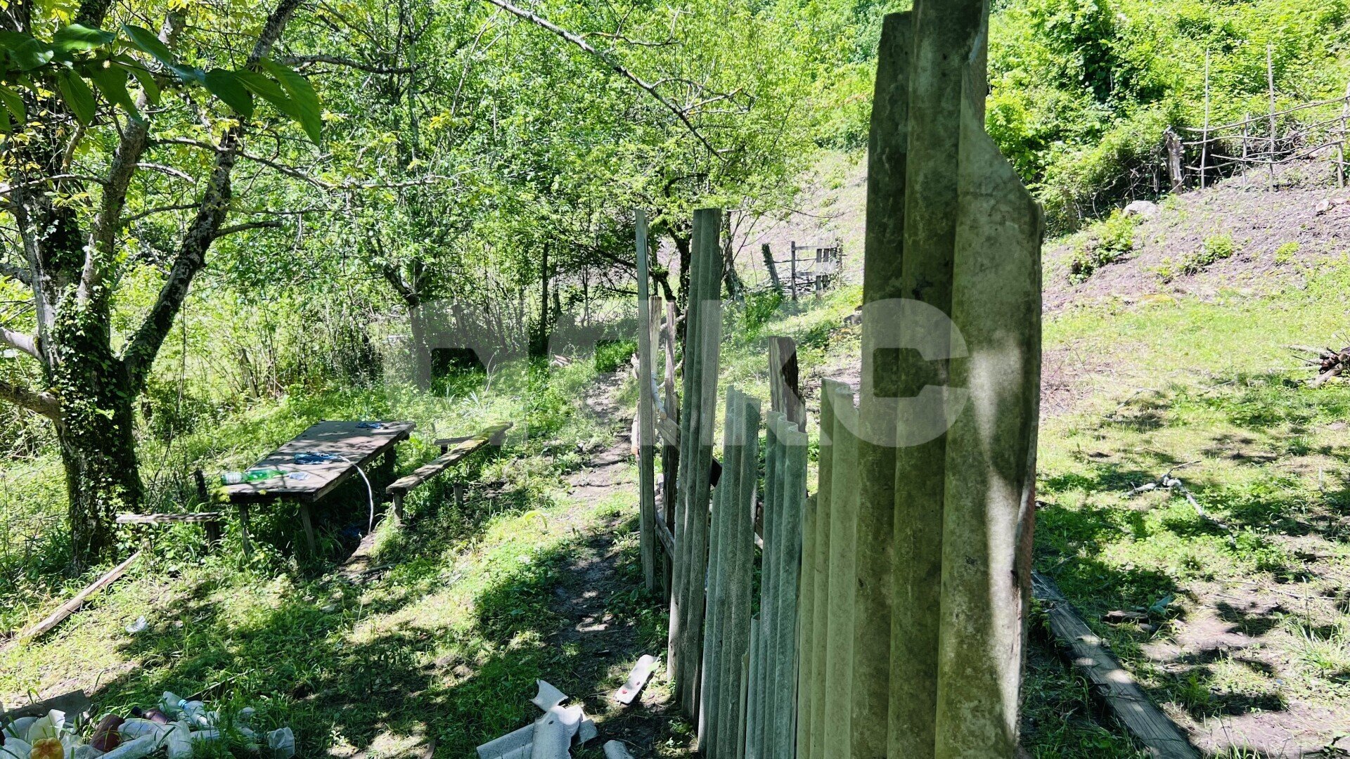 Фото №11: Личное подсобное хозяйство 7&nbsp;сот. - Илларионовка, р. Адлерский