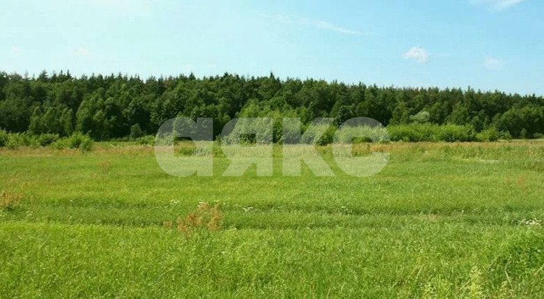 Фото №2: Коммерческая земля 6.86&nbsp;сот. - Севастопольская, ул. Школьная