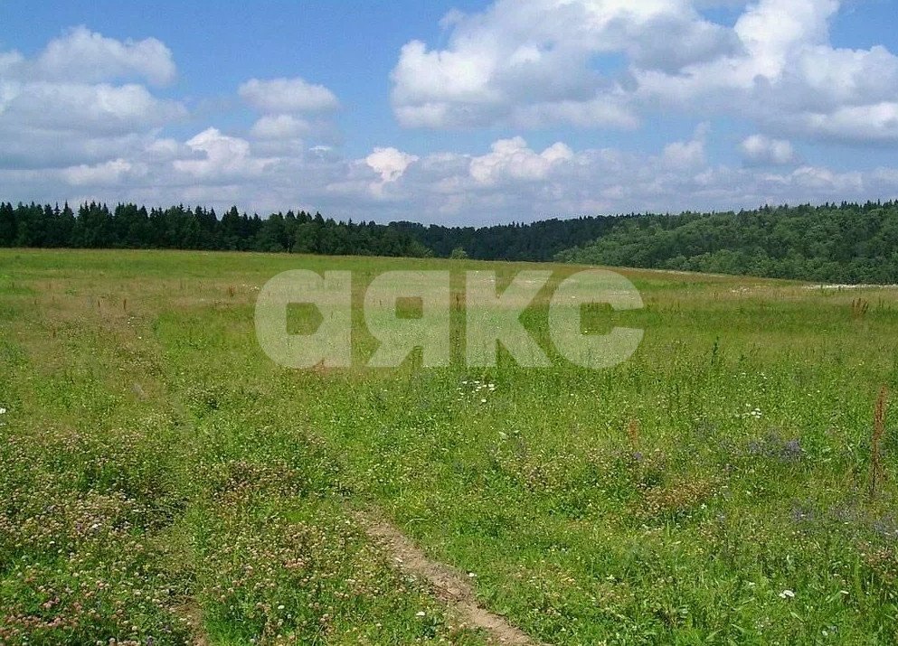 Фото №3: Коммерческая земля 6.86&nbsp;сот. - Севастопольская, ул. Школьная