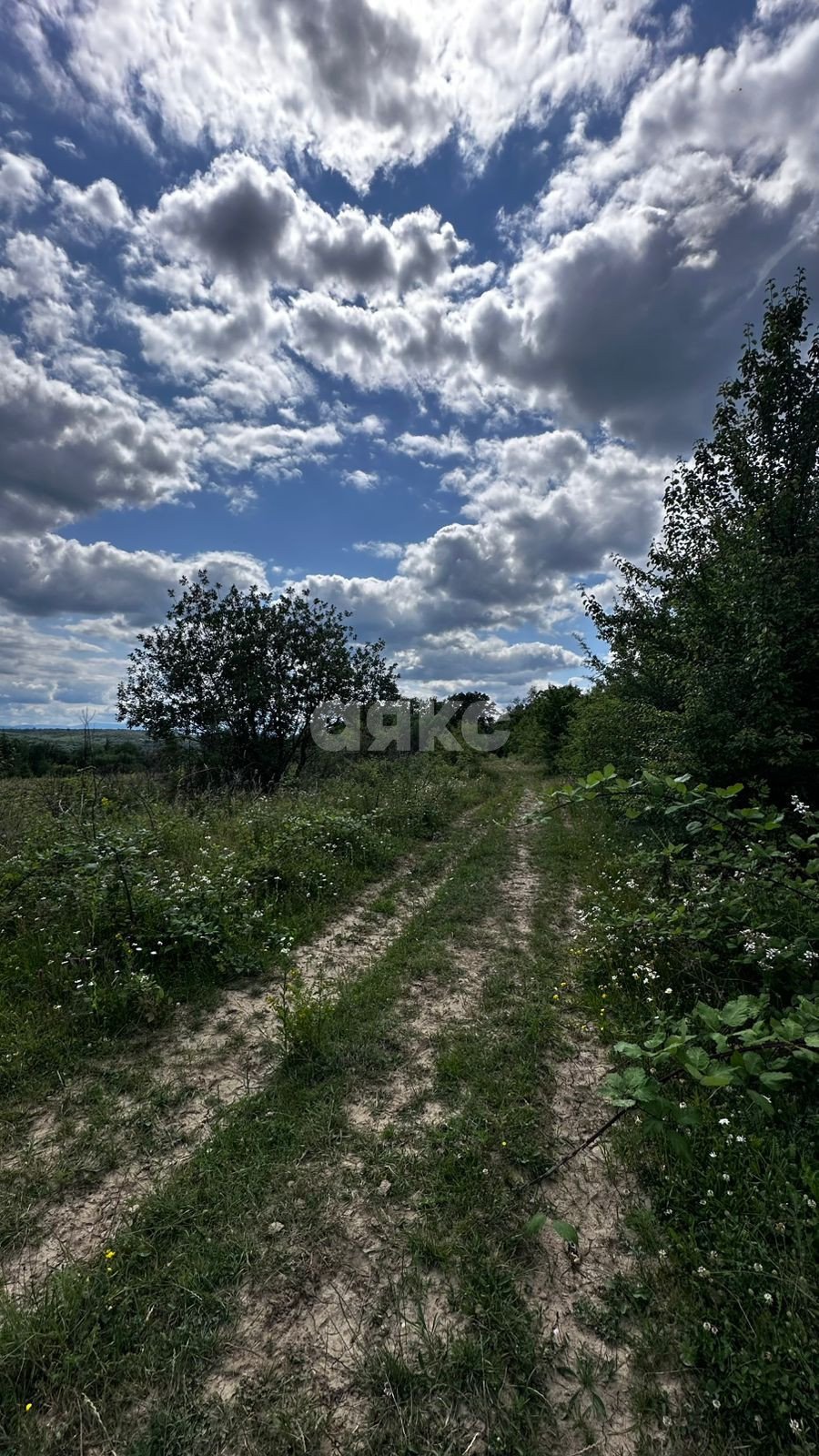 Фото №4: Коммерческая земля 6.86&nbsp;сот. - Севастопольская, ул. Школьная