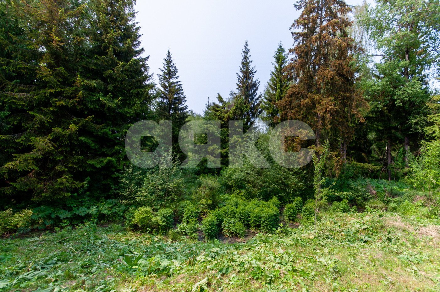 Фото №17: Земельный участок под ИЖС 5750&nbsp;сот. - Овсянниково
