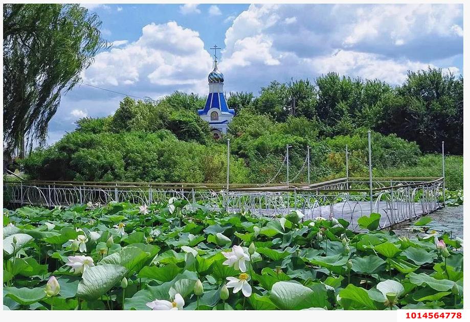 Фото №3: Земельный участок под ИЖС 7.7&nbsp;сот. - Белозёрный, мкр. Прикубанский внутригородской округ, ул. Прекрасная, 1