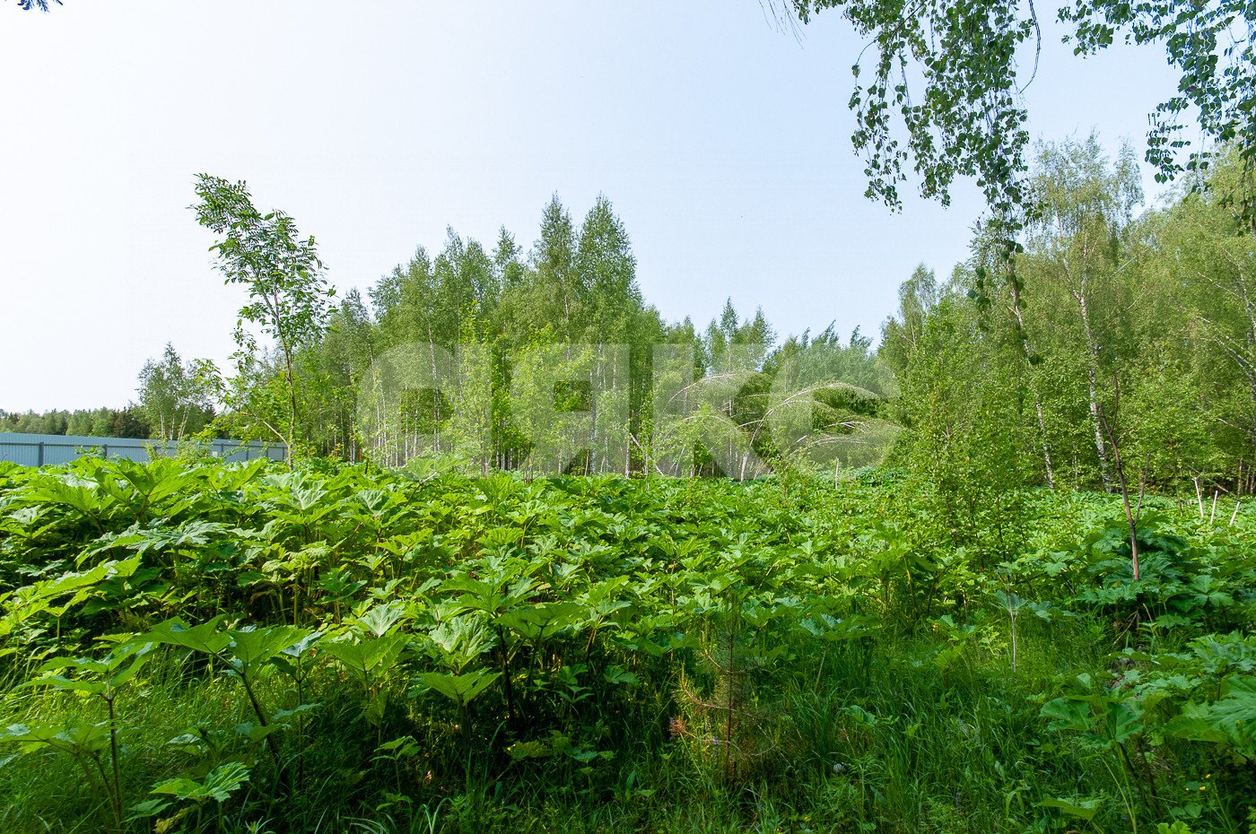 Фото №22: Дом 500&nbsp;м² + 5750&nbsp;сот., 2&nbsp;эт. - Овсянниково, 3/6
