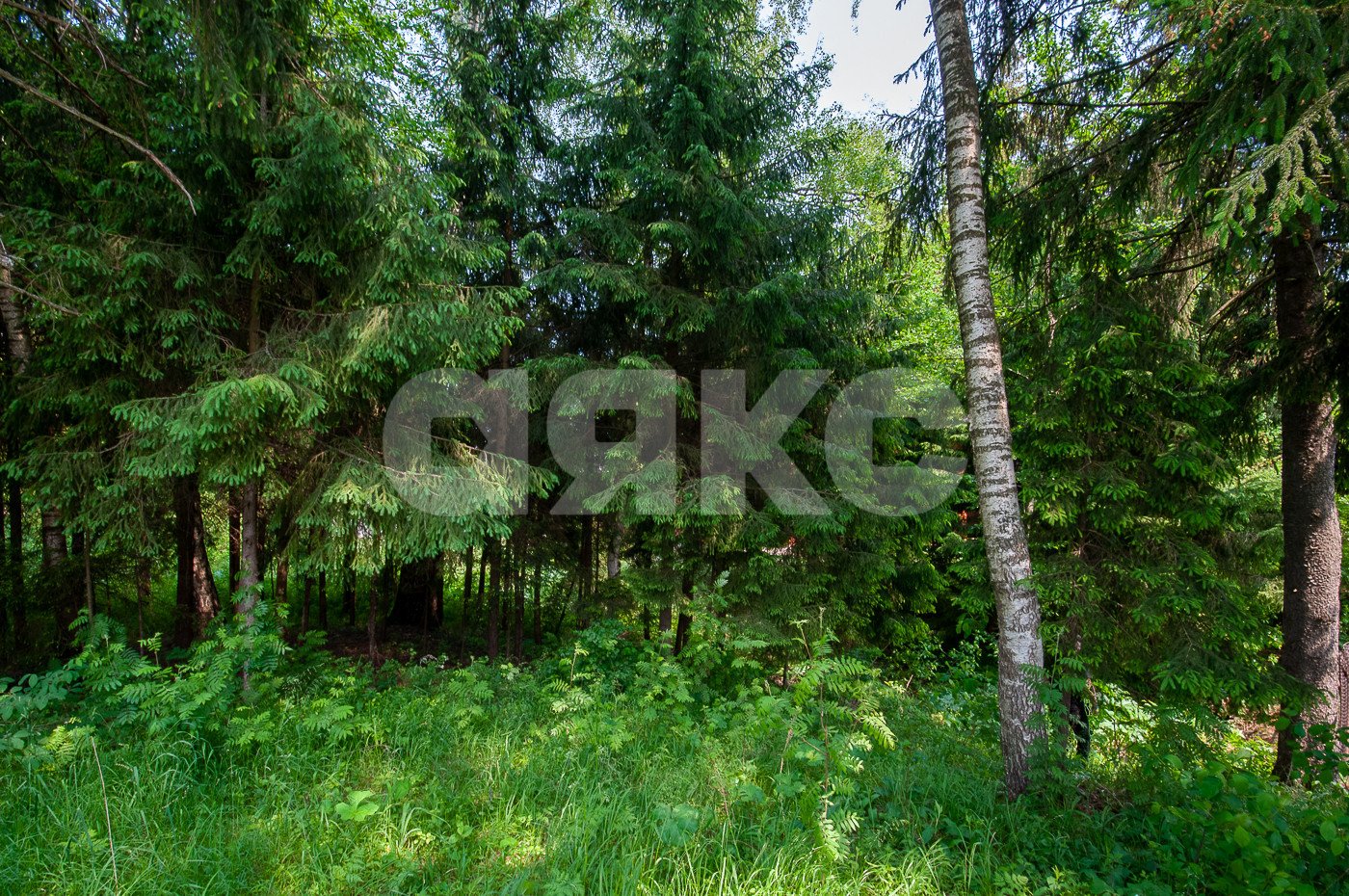 Фото №21: Дом 500&nbsp;м² + 5750&nbsp;сот., 2&nbsp;эт. - Овсянниково, 3/6