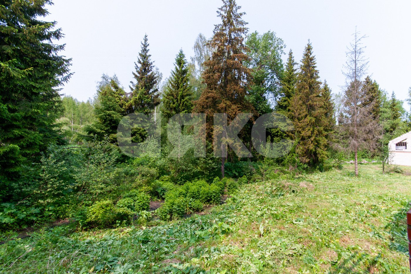 Фото №19: Дом 500&nbsp;м² + 5750&nbsp;сот., 2&nbsp;эт. - Овсянниково, 3/6