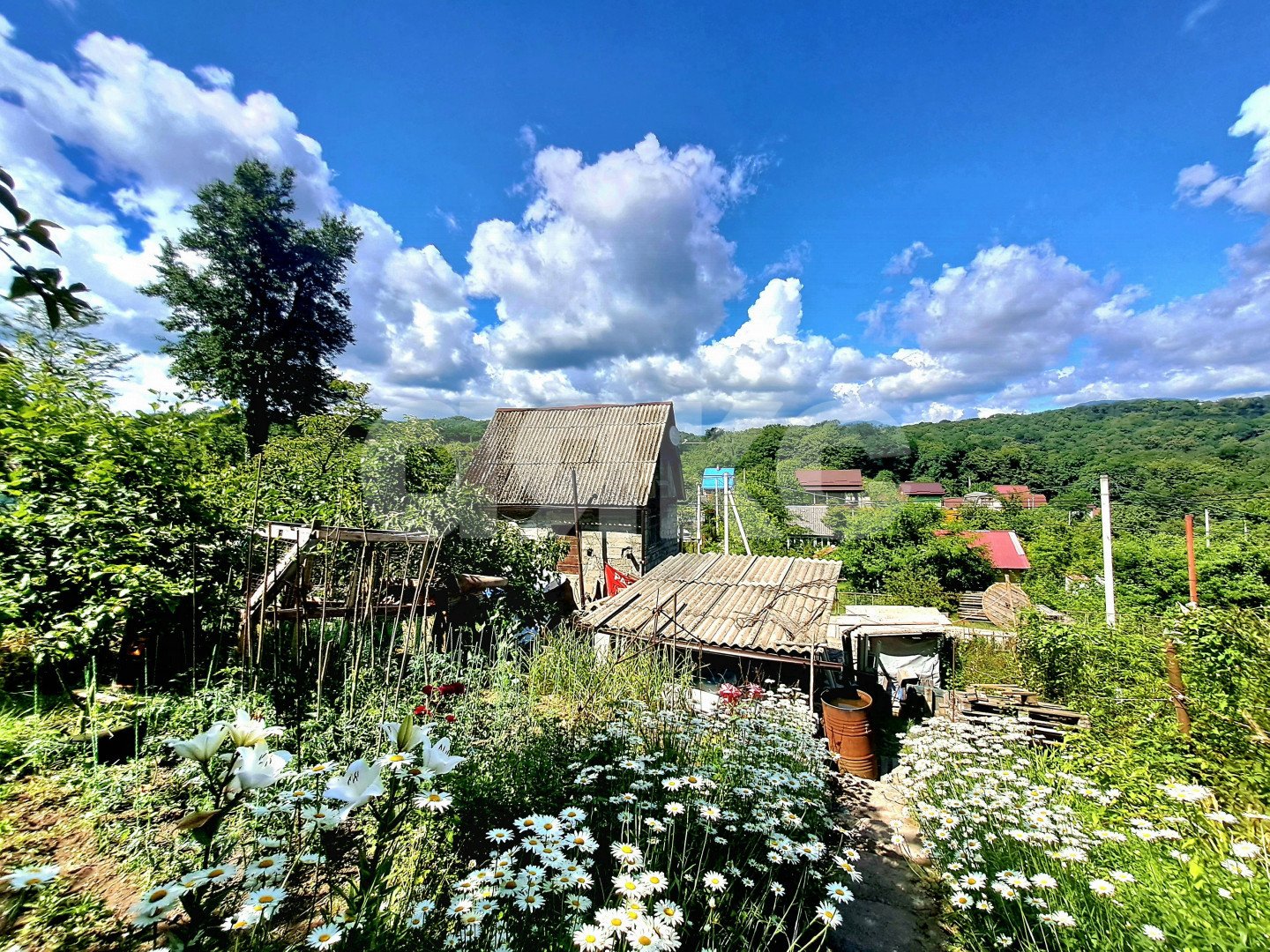 Фото №4: Участок садоводство 6&nbsp;сот. - Галицыно, Адлерский, мкр. СТ Пчеловод, 24