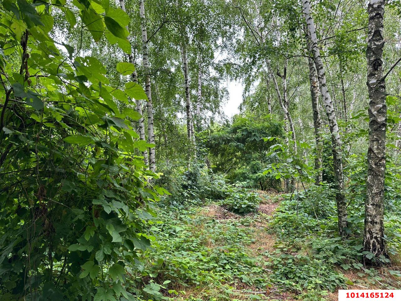 Фото №8: Земельный участок под ИЖС 21&nbsp;сот. - Ленина, мкр. Карасунский внутригородской округ, ул. 4-я Сторожевая, 1