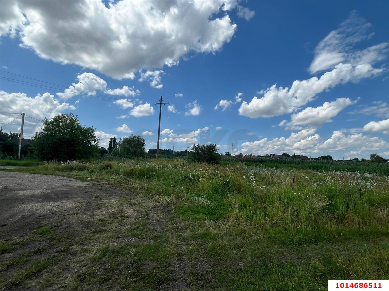 Фото №7: Земельный участок под ИЖС 16.93&nbsp;сот. - Красносельское, пер. Школьный