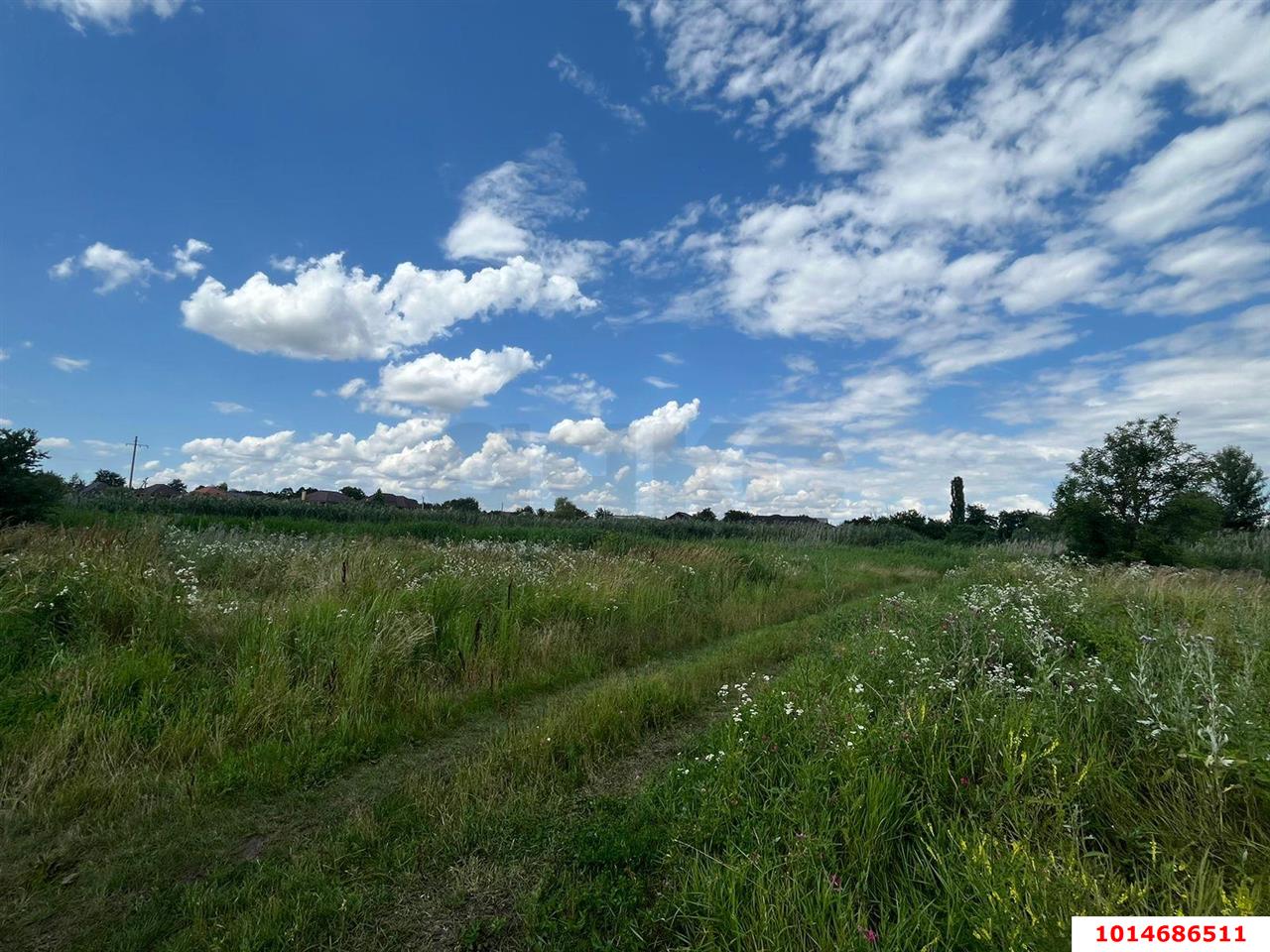 Фото №6: Земельный участок под ИЖС 16.93&nbsp;сот. - Красносельское, пер. Школьный