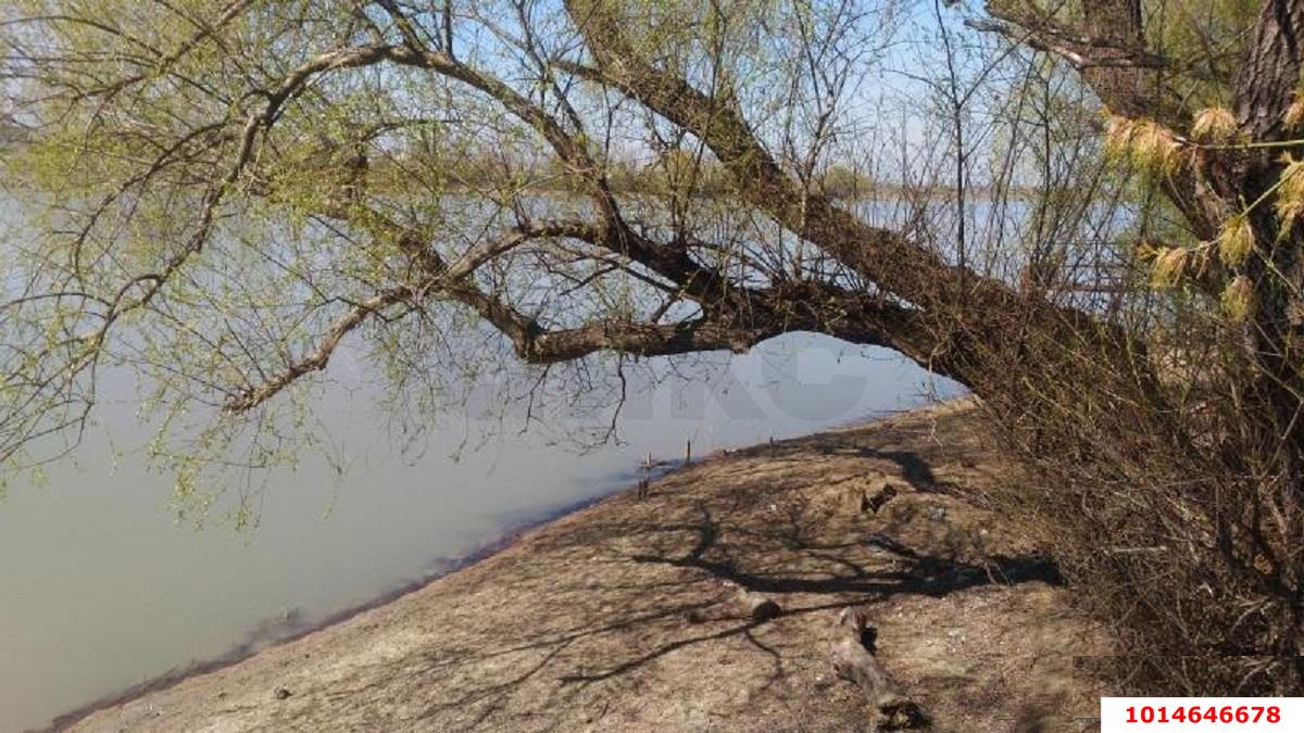Фото №5: Личное подсобное хозяйство 6&nbsp;сот. - Елизаветинская, Прикубанский внутригородской округ, ст Речник, ул. Рындовая, 739