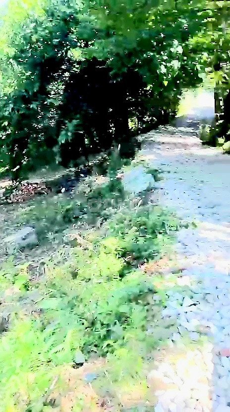 Фото №2: Участок садоводство 4.7&nbsp;сот. - Дагомыс, р. Лазаревский, ул. Российская