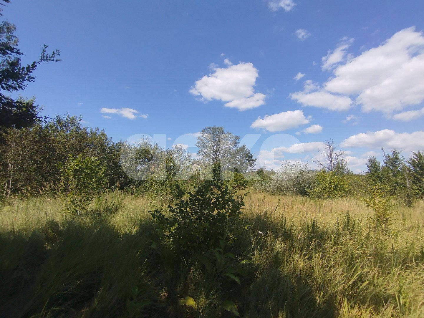 Фото №4: Участок садоводство 6&nbsp;сот. - Мебельщик, 460