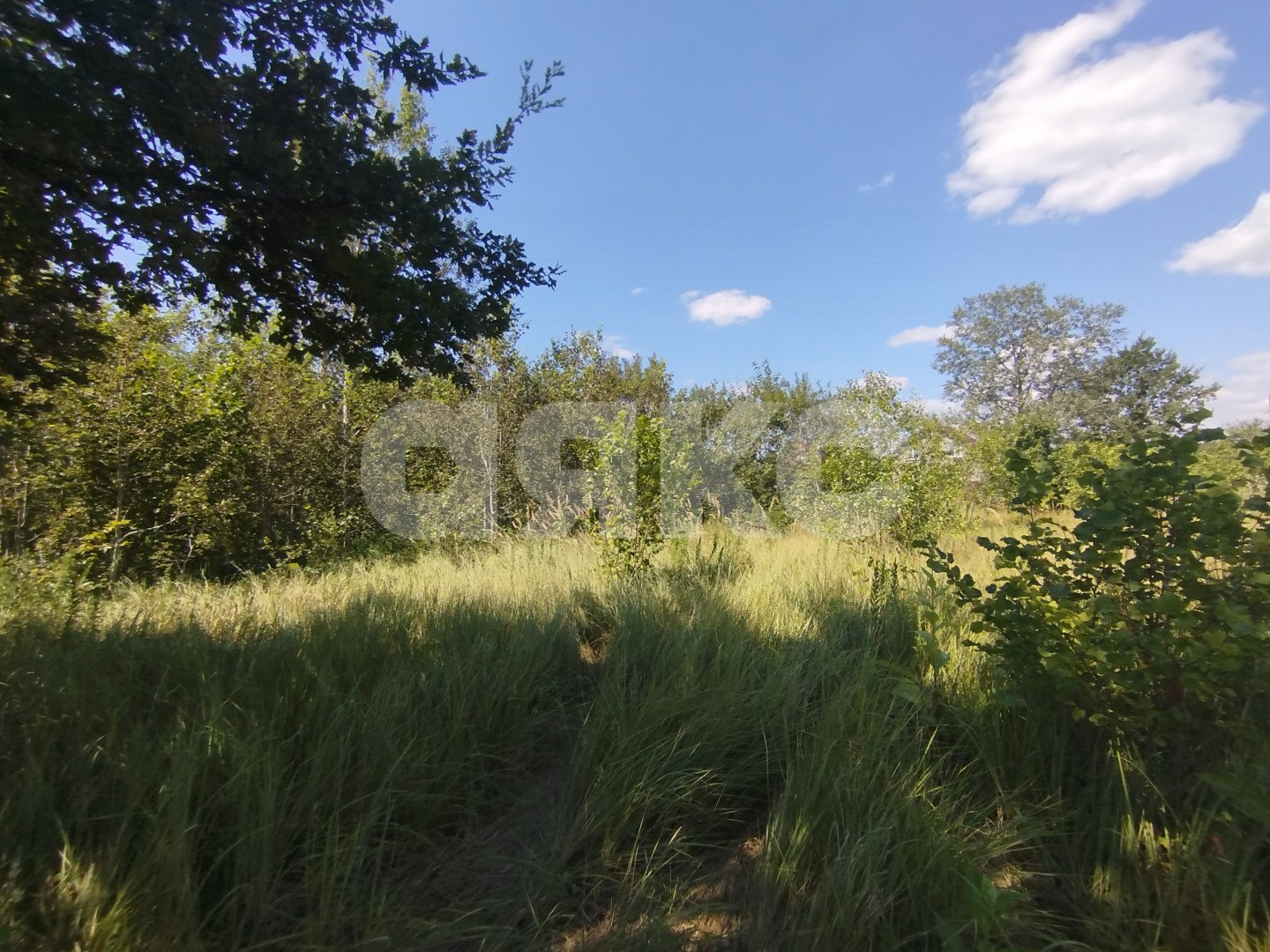 Фото №3: Участок садоводство 6&nbsp;сот. - Мебельщик, 460