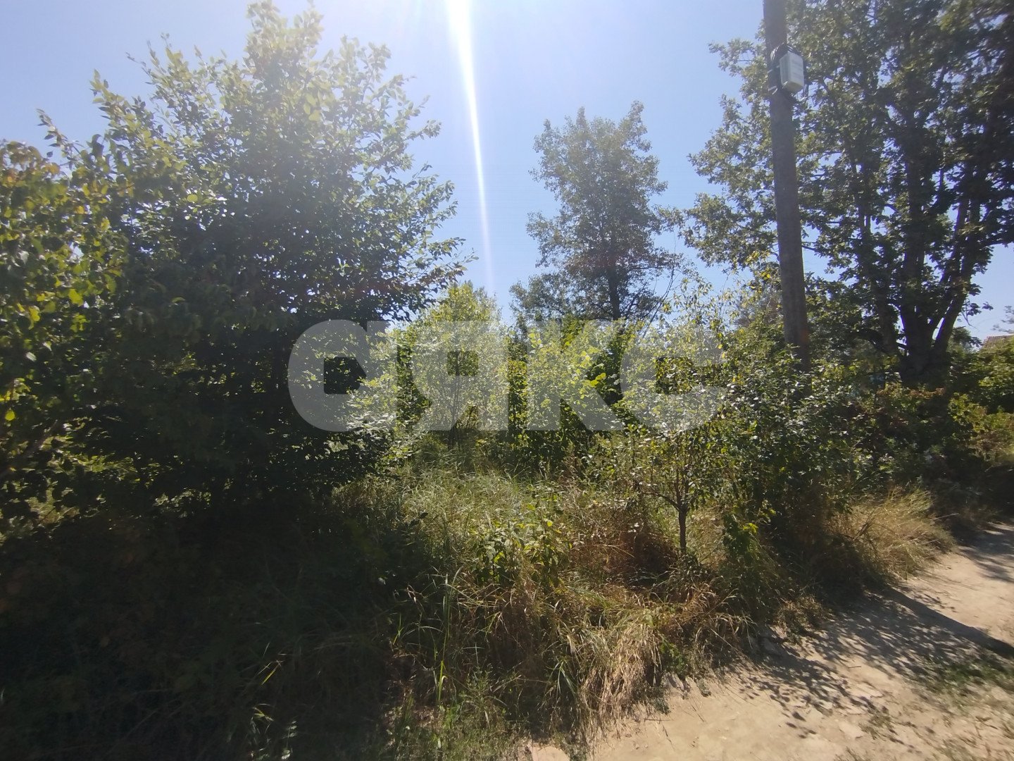 Фото №5: Участок садоводство 6&nbsp;сот. - Мебельщик, 460