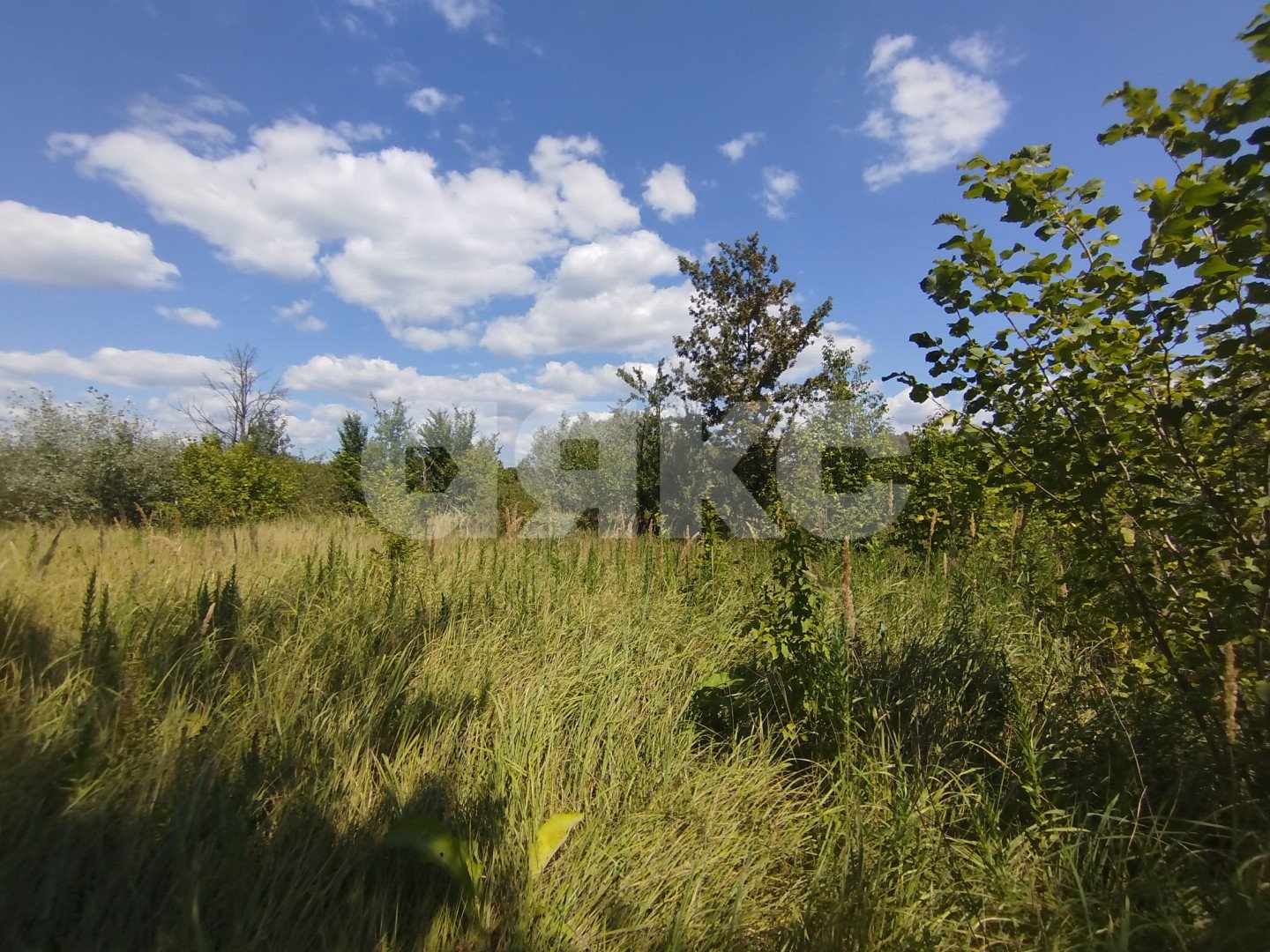 Фото №8: Участок садоводство 6&nbsp;сот. - Мебельщик, 460