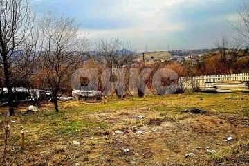 Фото №1: Земельный участок под ИЖС 4.5 сот. - Черешня, р. Адлерский,