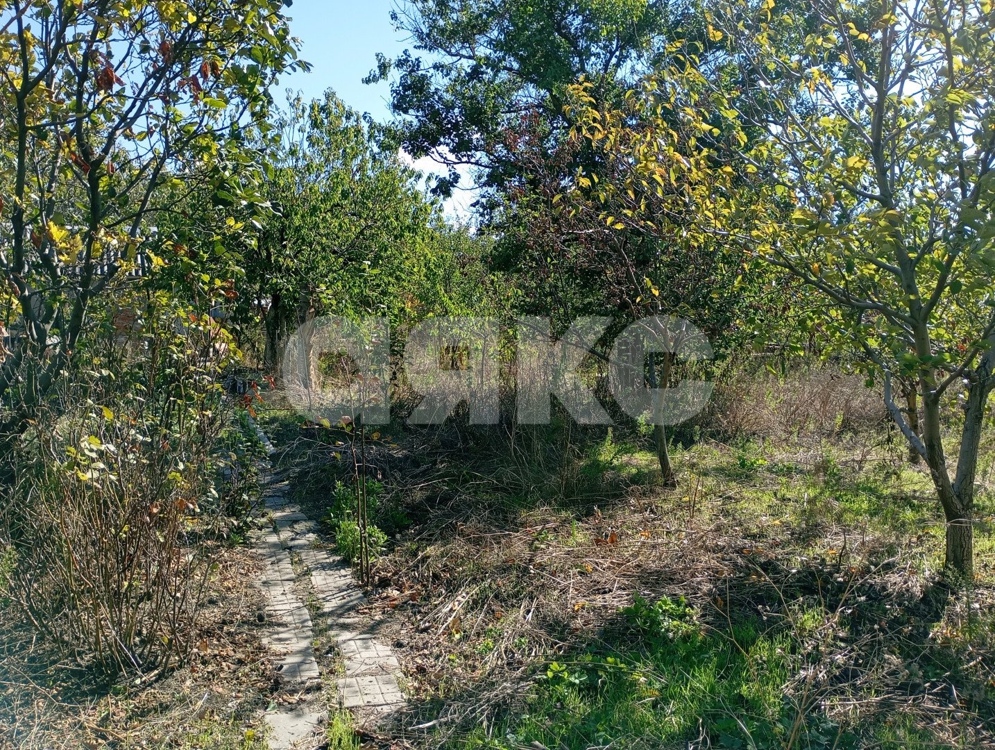 Фото №15: Участок садоводство 5&nbsp;сот. - СОТ Строитель, ул. Кавказская, 1