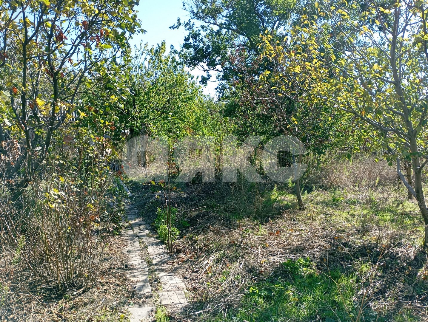 Фото №13: Участок садоводство 5&nbsp;сот. - СОТ Строитель, ул. Кавказская, 1