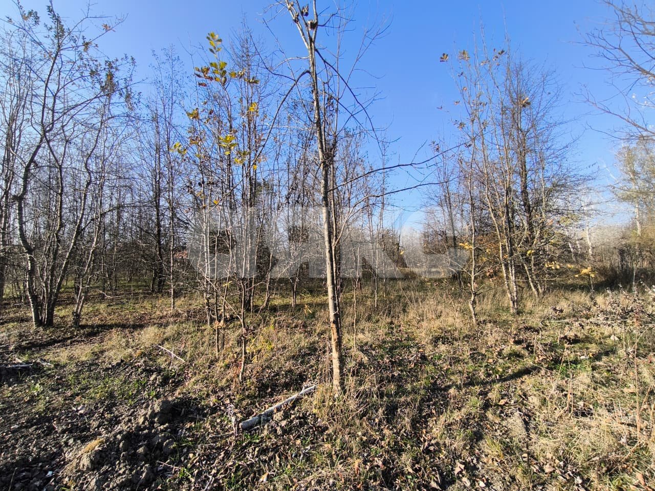 Фото №7: Земельный участок под ИЖС 8.84&nbsp;сот. - Саратовская, 4-й, мкр. 13-й квартал