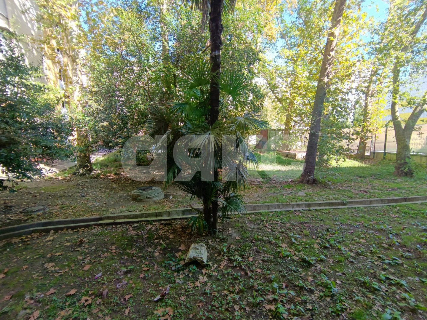 Фото №7: 3-комнатная квартира 67&nbsp;м², 1/5&nbsp;эт. - Сочи, Центральный, мкр. Донская, ул. Донская, 60