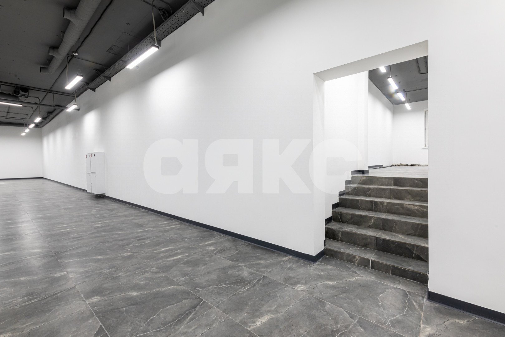 Фото №14: Коммерция 907&nbsp;м², 1/14&nbsp;эт. - Москва, р. Лосиноостровский, ул. Челюскинская, 9