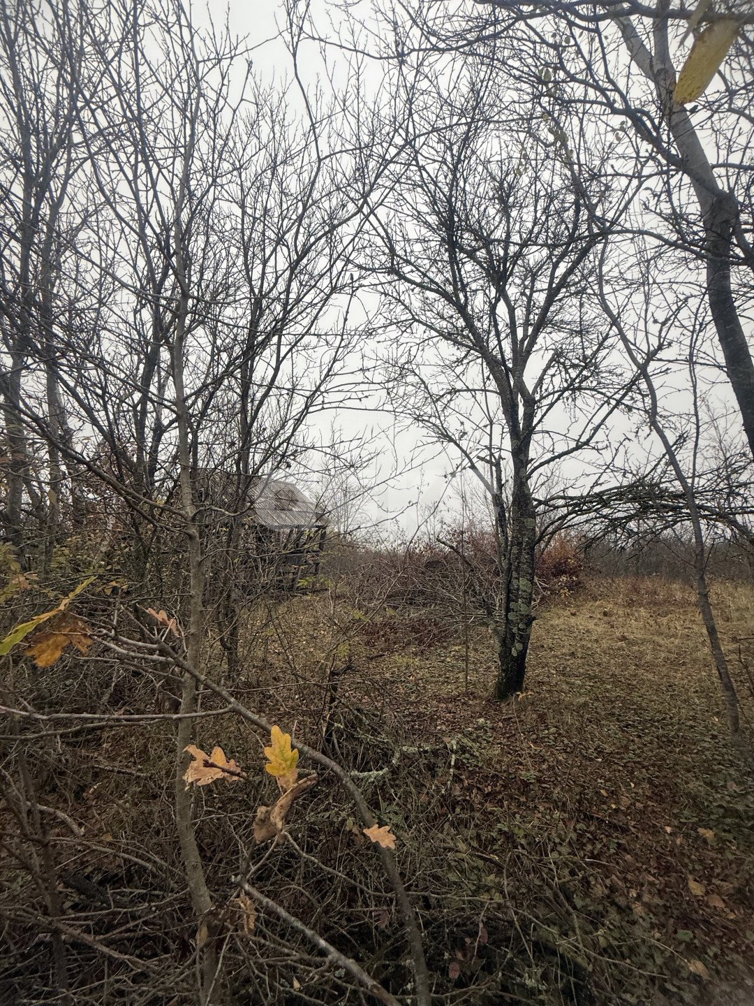 Фото №5: Участок садоводство 5&nbsp;сот. - Майкоп, мкр. СНТ Звёздочка, ул. Роз, 23