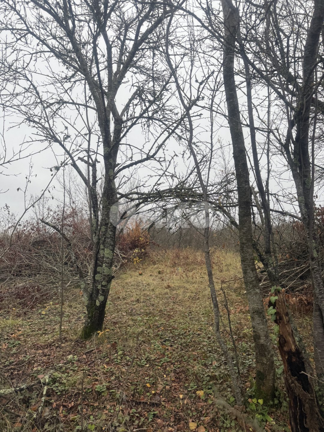 Фото №2: Участок садоводство 5&nbsp;сот. - Майкоп, мкр. СНТ Звёздочка, ул. Роз, 23