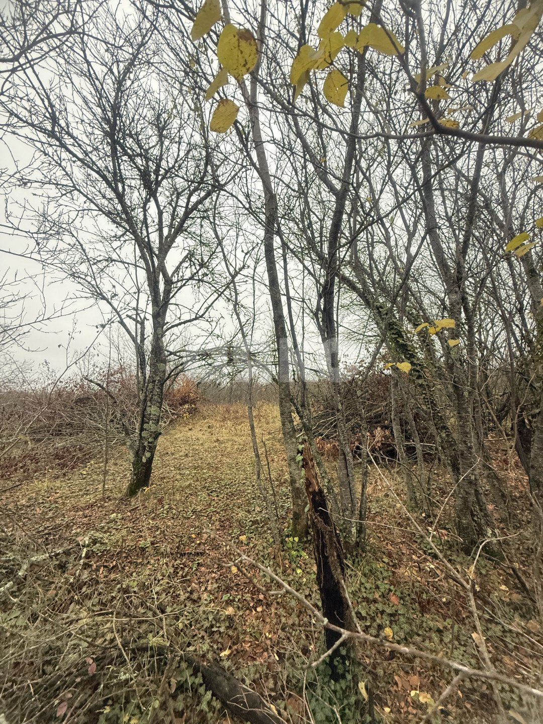 Фото №4: Участок садоводство 5&nbsp;сот. - Майкоп, мкр. СНТ Звёздочка, ул. Роз, 23
