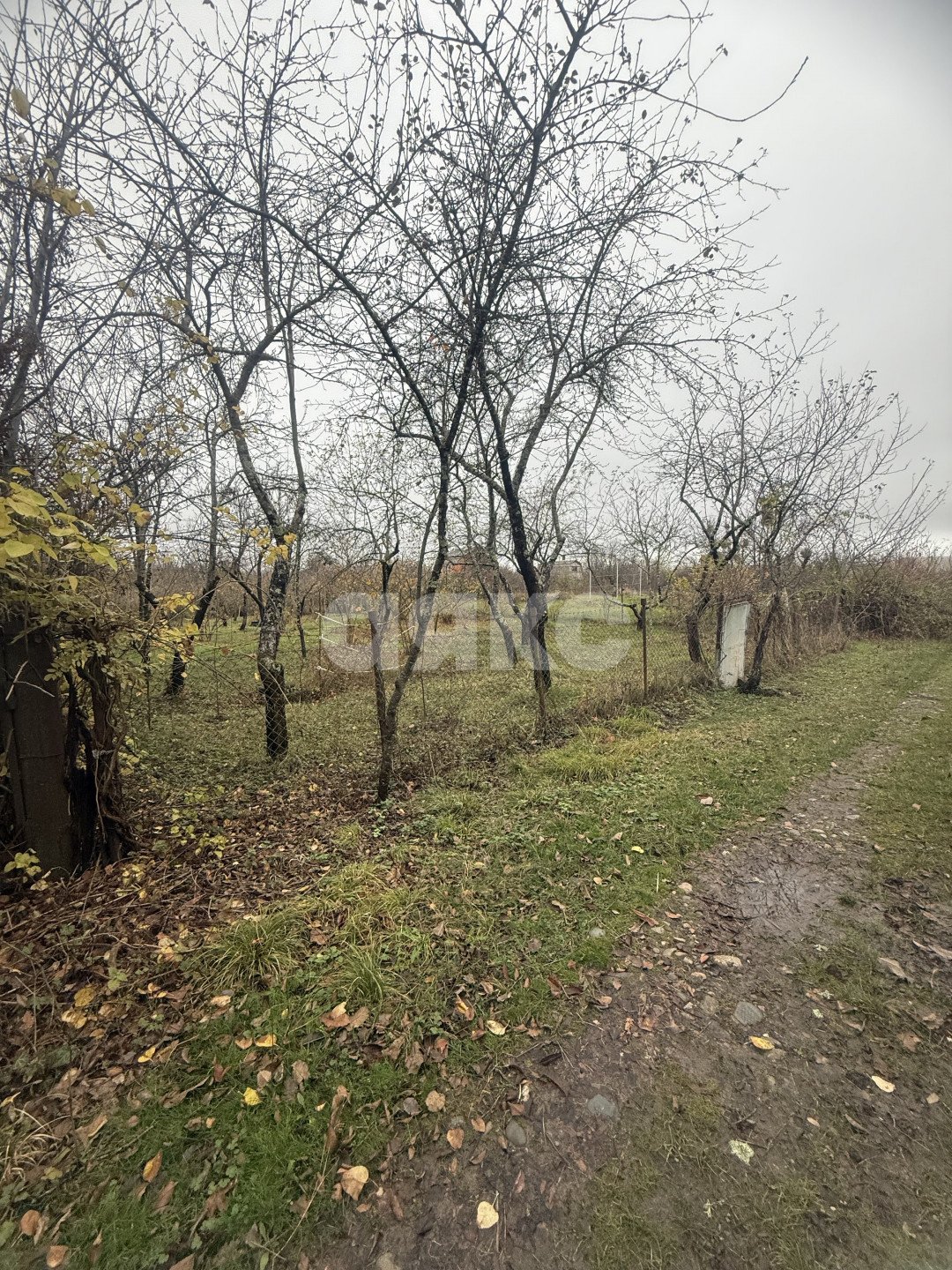 Фото №6: Участок садоводство 5&nbsp;сот. - Майкоп, мкр. СНТ Звёздочка, ул. Роз, 23