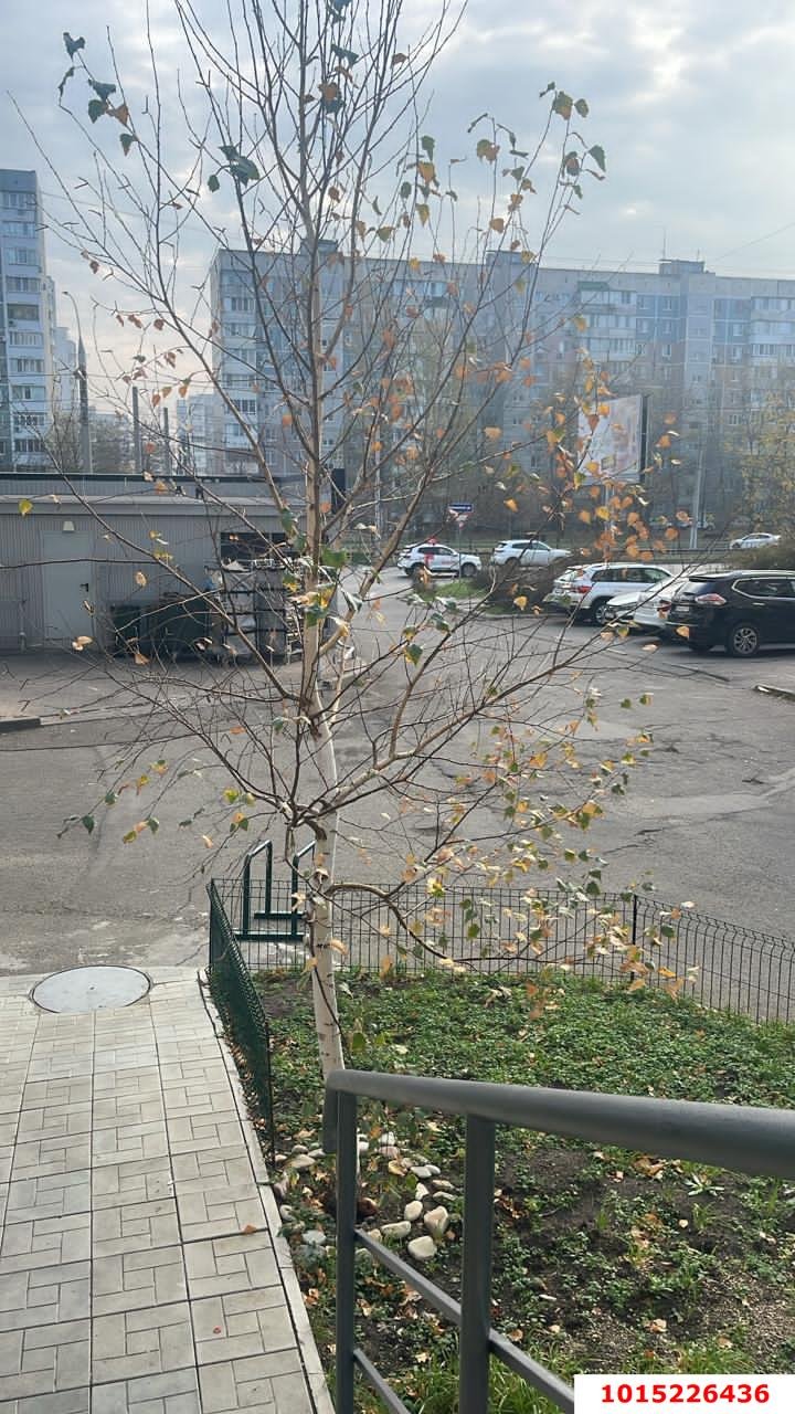 Фото №7: Студия 20&nbsp;м², 1/9&nbsp;эт. - Краснодар, Западный внутригородской округ, мкр. Юбилейный, пр-кт Чекистов, 15
