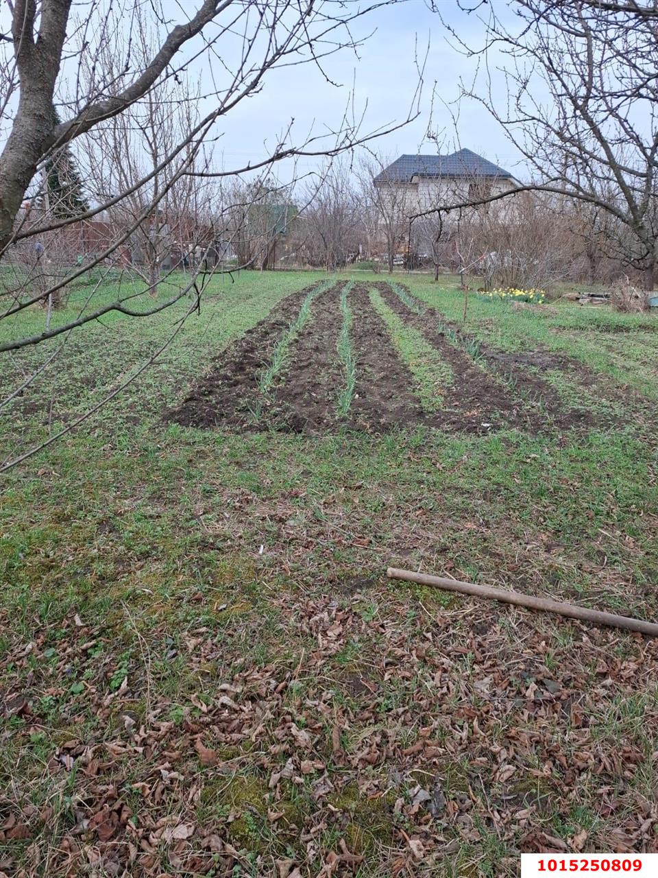 Фото №14: Личное подсобное хозяйство 9.38&nbsp;сот. - Янтарь, мкр. Карасунский внутригородской округ, ул. Янтарная, 183