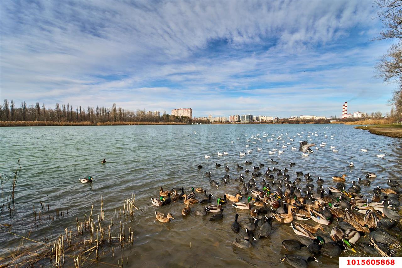 Фото №19: 1-комнатная квартира 45&nbsp;м², 12/15&nbsp;эт. - Краснодар, Карасунский внутригородской округ, Гидростроителей, мкр. ЖК Речной Бриз, ул. Парусная, 10к1