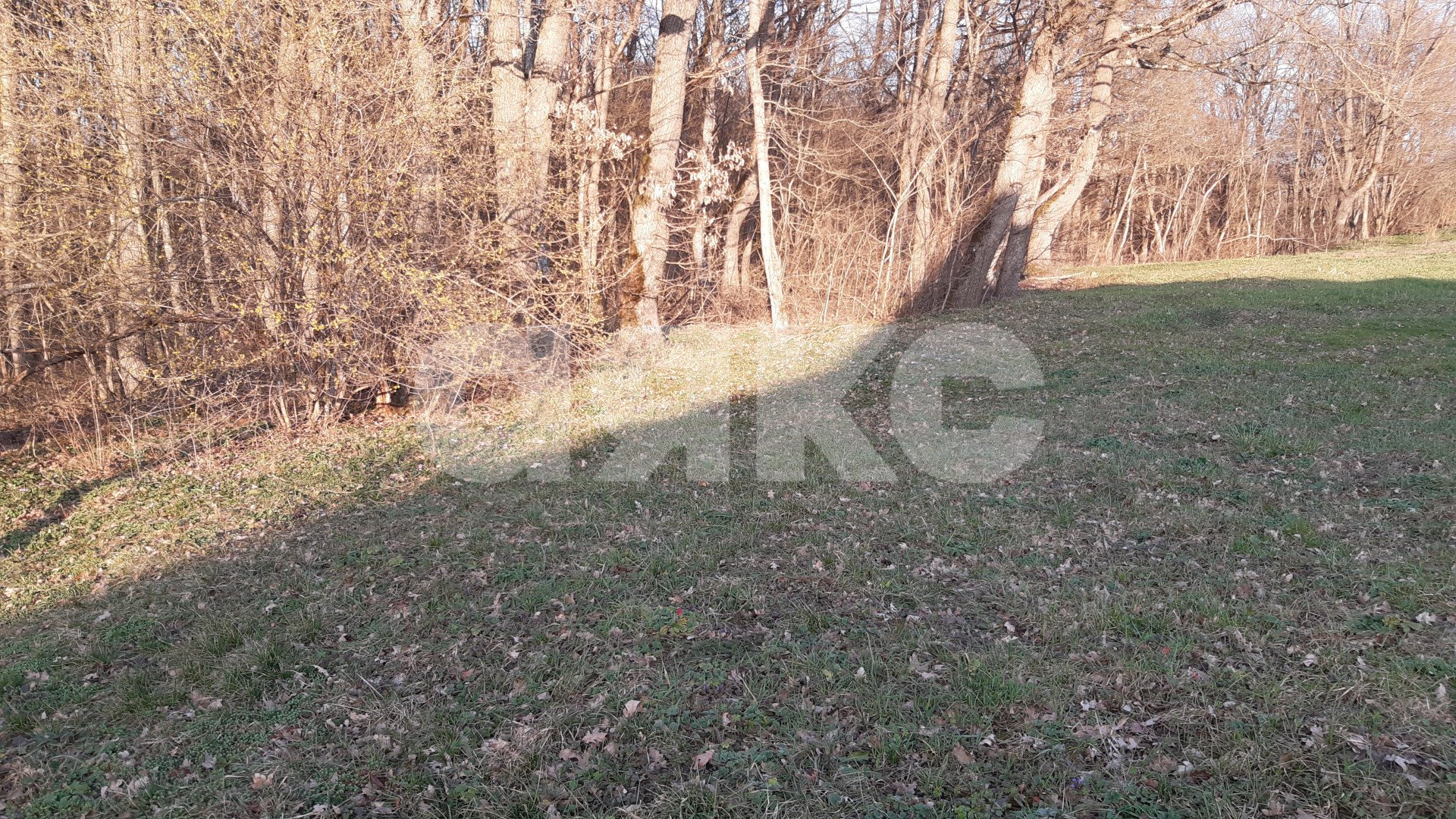 Фото №13: Земельный участок под ИЖС 10&nbsp;сот. - Первомайский, ул. Ленина