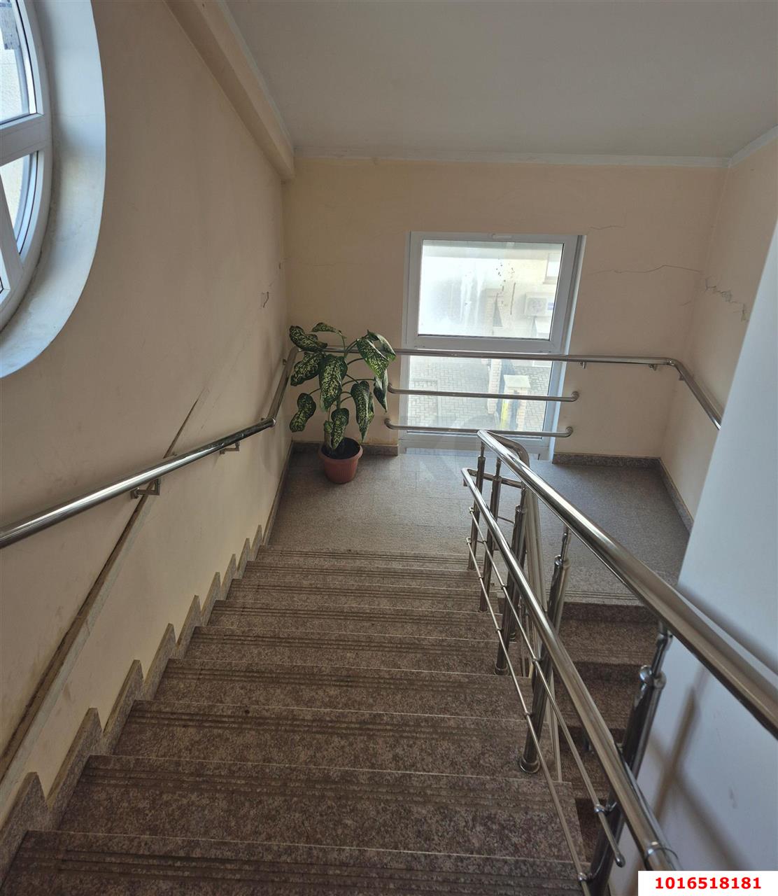 Фото №7: Торговое помещение 1159&nbsp;м², 1/3&nbsp;эт. - Краснодар, Прикубанский внутригородской округ, мкр. Сады Калинина, ул. Средняя, 81/3