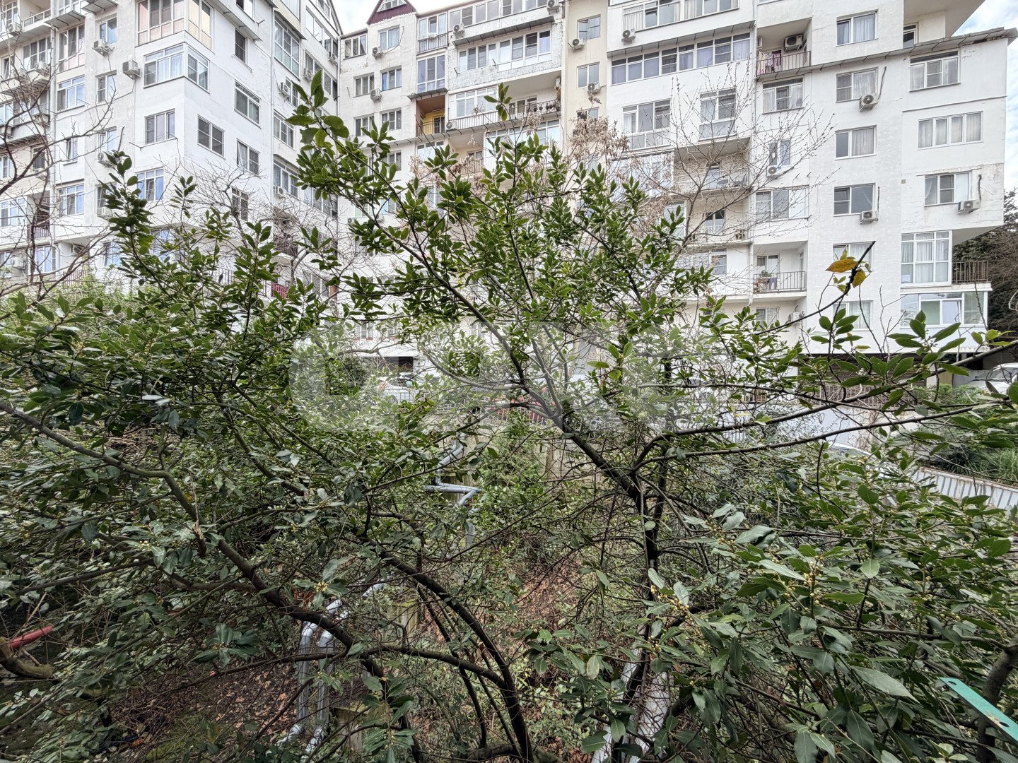 Фото №12: Студия 18&nbsp;м², 4/5&nbsp;эт. - Сочи, Центральный, мкр. Донская, ул. Донская, 19