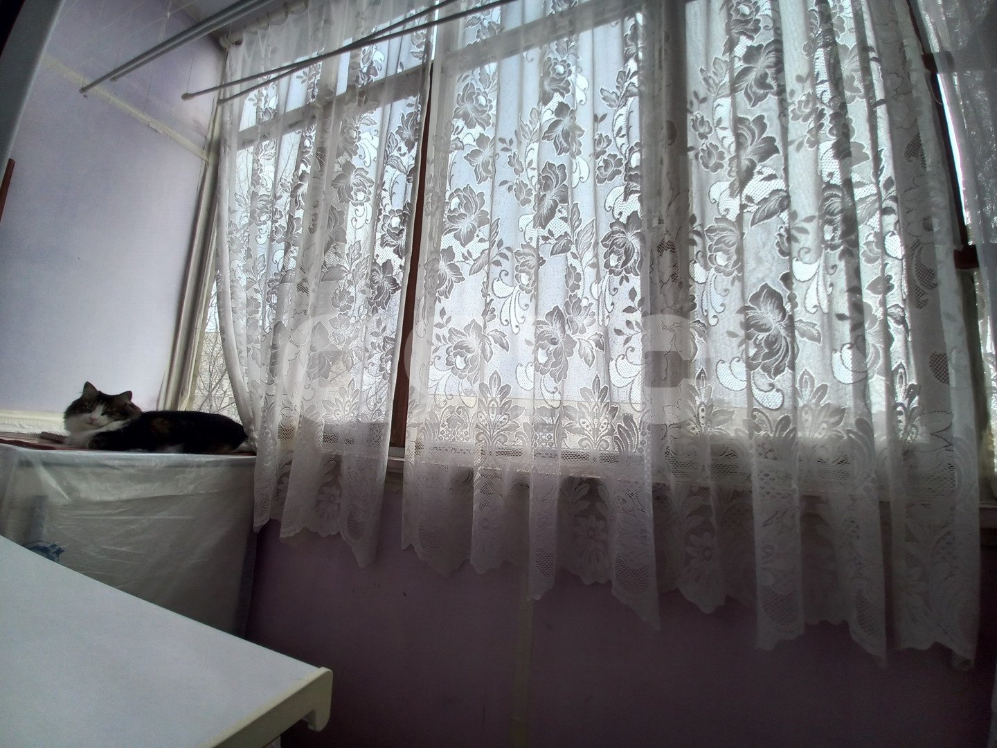 Фото №9: 2-комнатная квартира 44&nbsp;м², 3/5&nbsp;эт. - Волгоград, р. Краснооктябрьский, ул. Маршала Ерёменко, 15